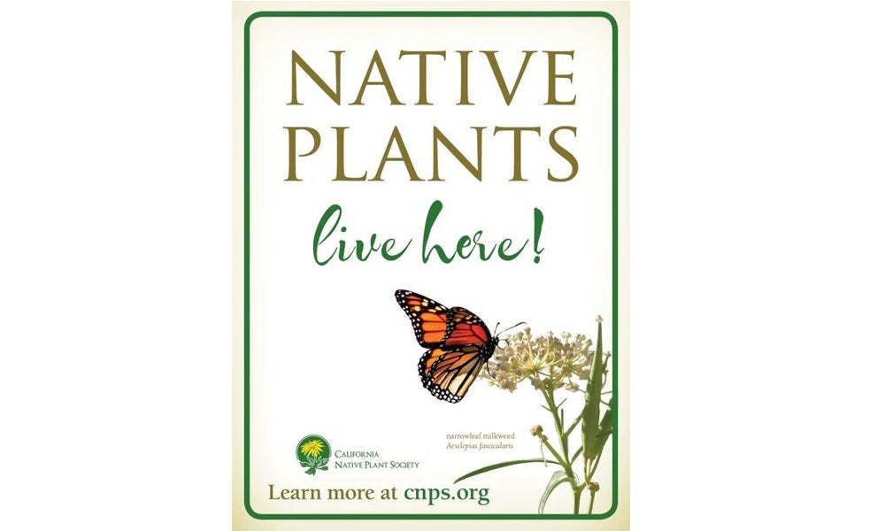 Sign - Native Plants live here! | California Native Plant Society, Santa  Clara Valley Chapter | Online Store